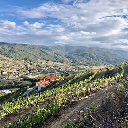 Quinta Da Penada - Vineyard & Winery - Suite 3 Chaves Ngoại thất bức ảnh