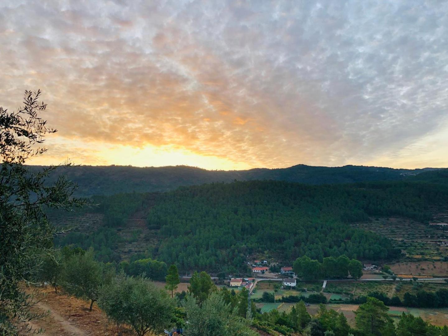 Quinta Da Penada - Vineyard & Winery - Suite 3 Chaves Ngoại thất bức ảnh