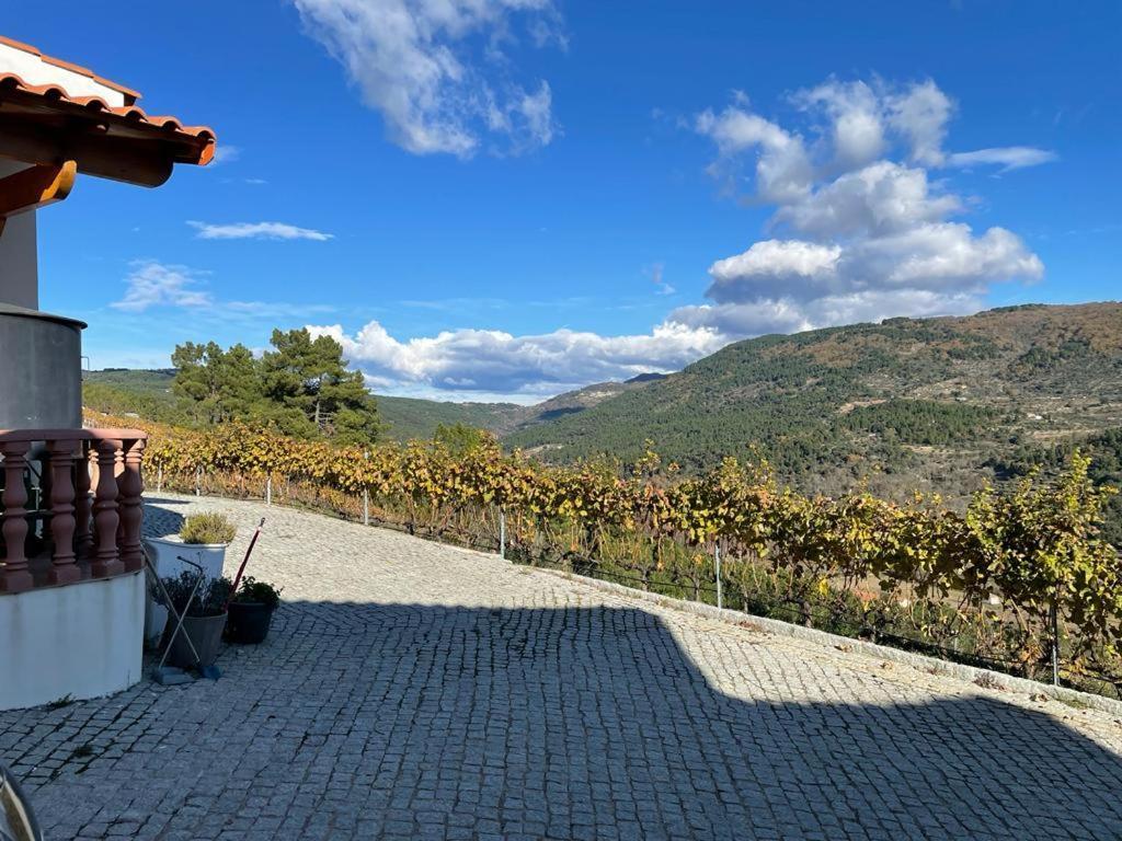 Quinta Da Penada - Vineyard & Winery - Suite 3 Chaves Ngoại thất bức ảnh
